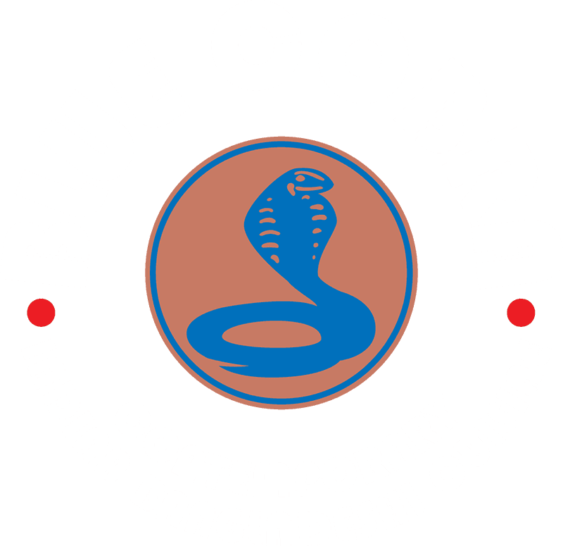 Blue Cobra Logo